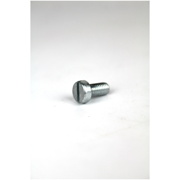 Screw for Stihl TS400 Water Attatchment 0