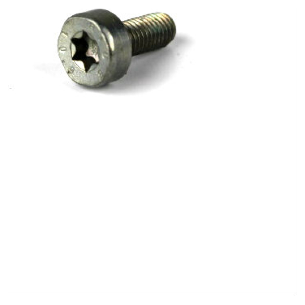 Screw P6 x 19 for Stihl TS360 Handle 0