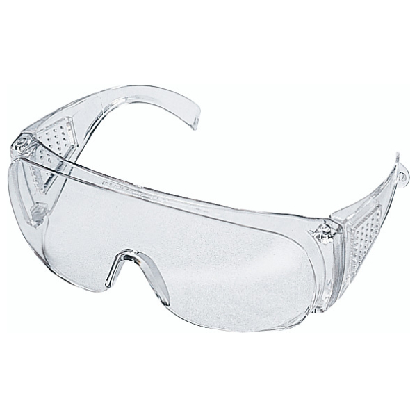 STANDARD Glasses Clear