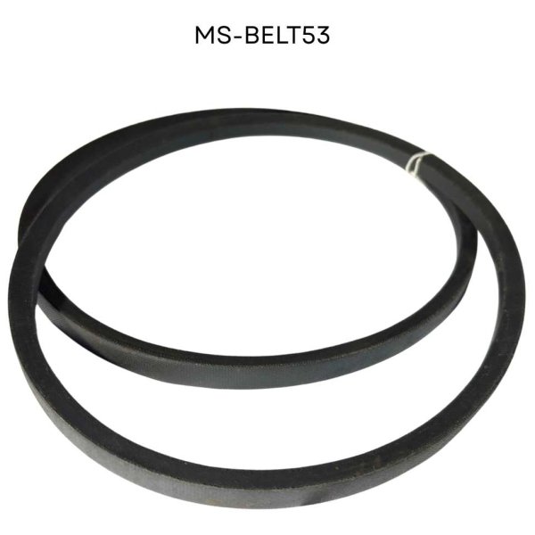 MS BELT53   2