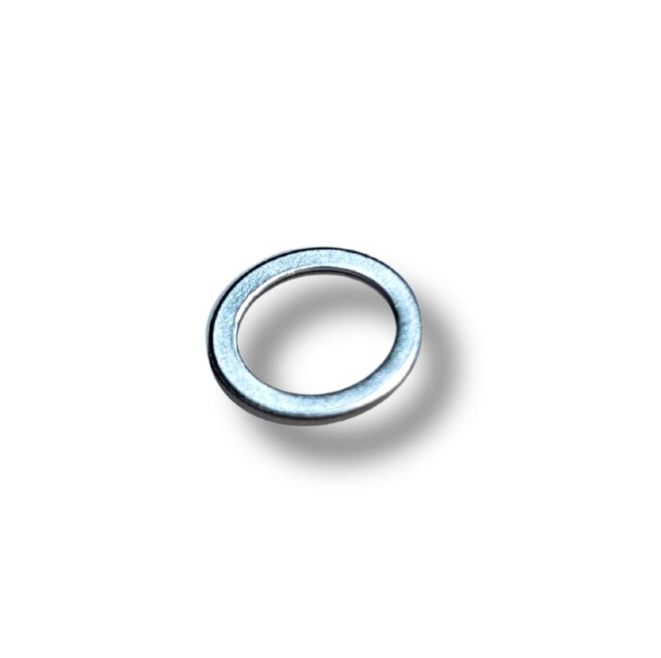 Genuine Starter Pawl Washer